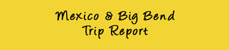 Mexico and Big Bend Trip Report