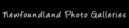 Newfoundland Photo Galleries